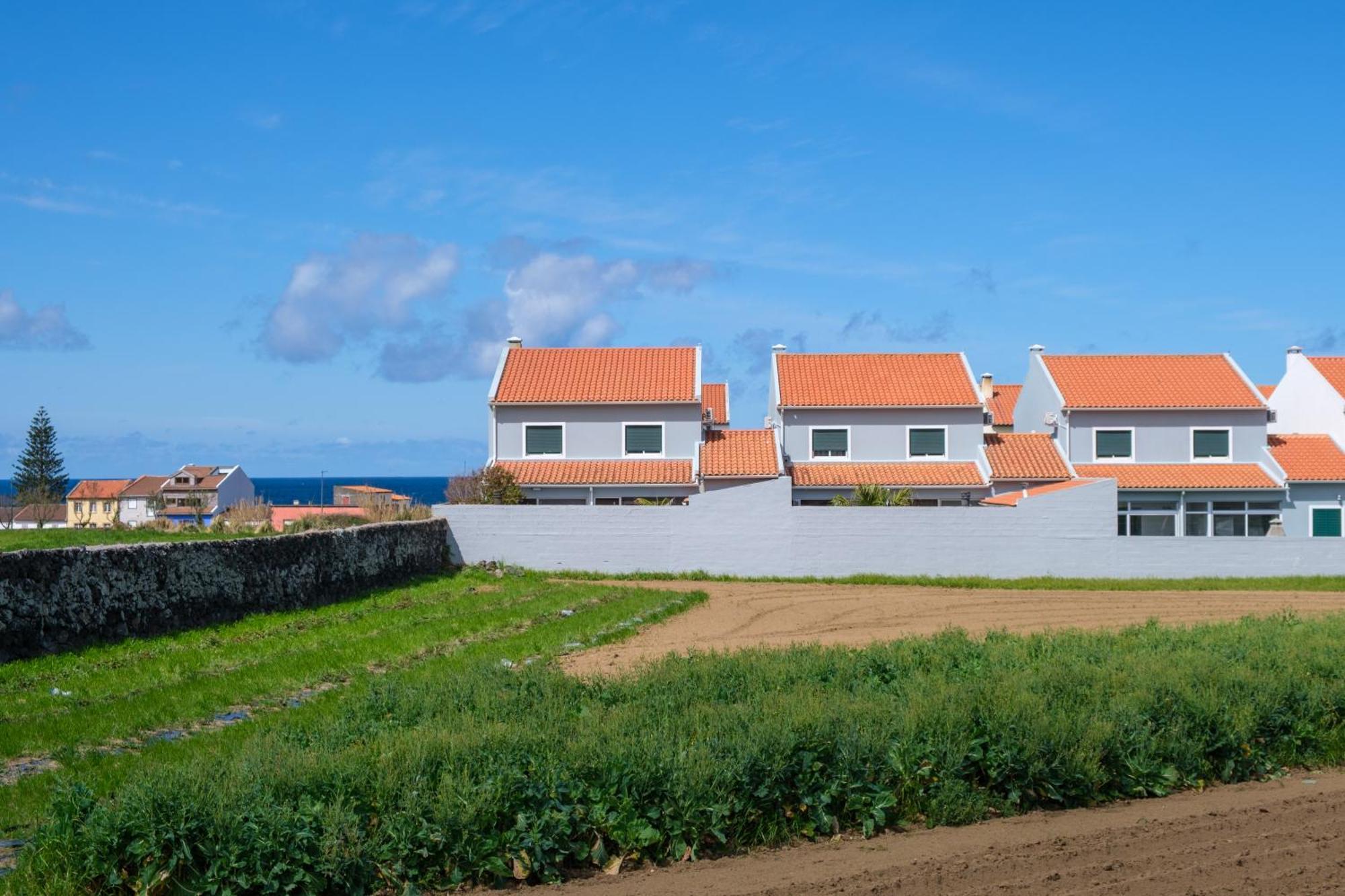 Areal De Santa Barbara Sea View Bed & Breakfast Ribeira Grande Dış mekan fotoğraf